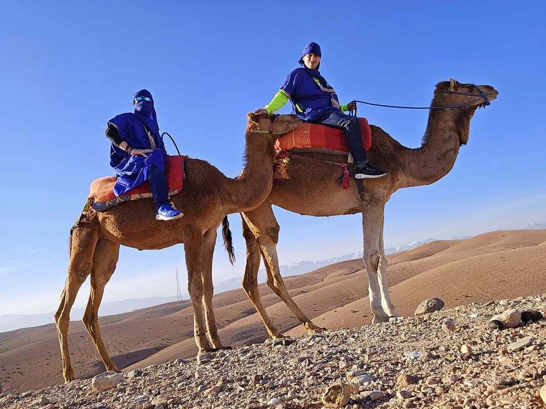 Balade Chameau Désert Agafay