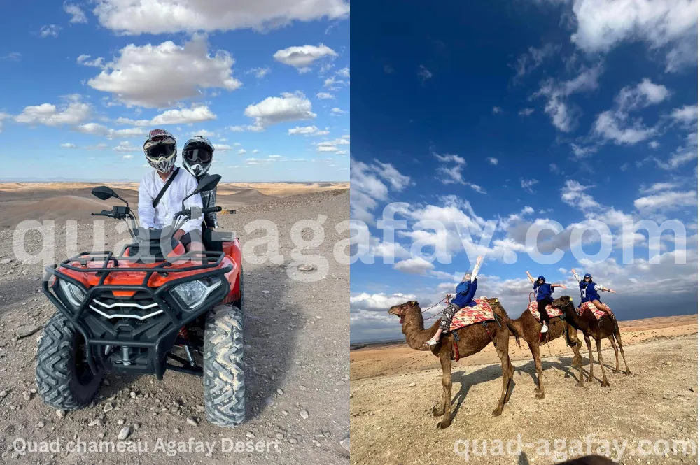Quad & Dromadaire au Désert d'Agafay