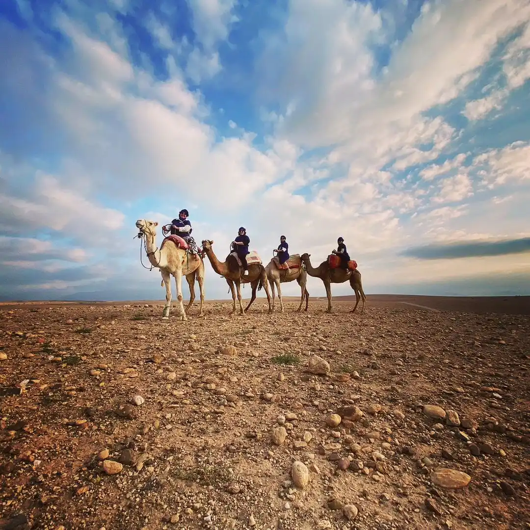 Quad + Cammello + Cena a Le Bedouine - Photo 2